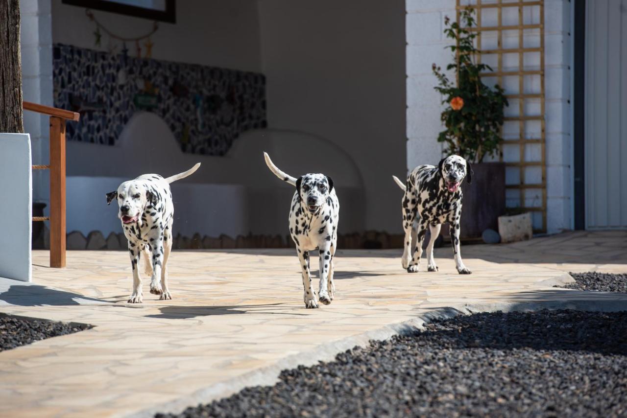Villa La Perla كانديلاريا المظهر الخارجي الصورة